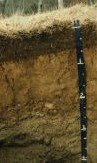 Narragansett Silt Loam