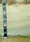 Tihonet Soil Profile