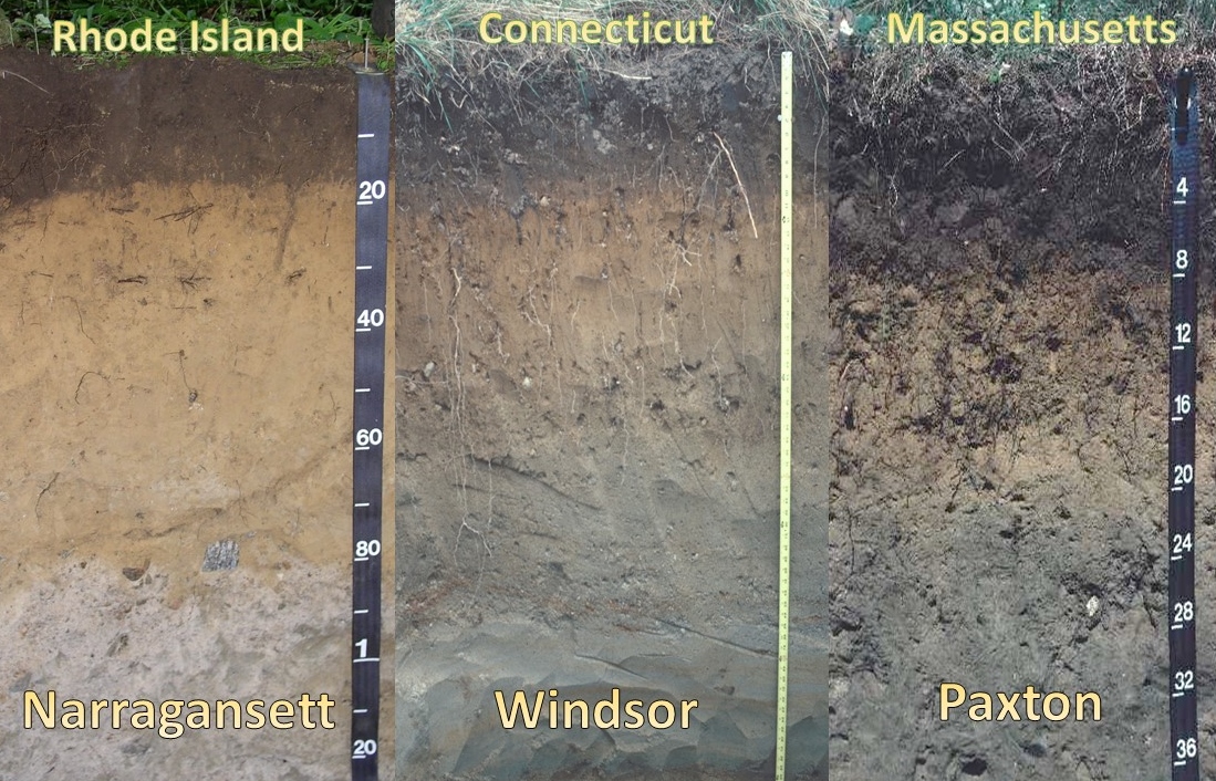 SNE State Soils